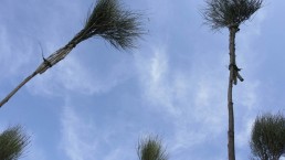 ©2009 Angela Rosati